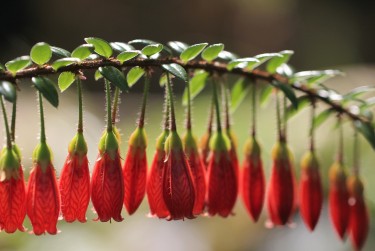 肇庆鼎湖区6私人快速借钱网，轻松解决资金难题