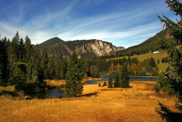 肇庆鼎湖区6民间私贷攻略：揭秘低成本借贷的秘密