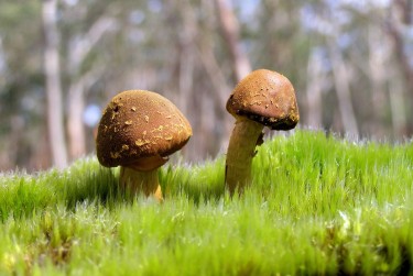 肇庆鼎湖区6私人老板放款：轻松融资的秘密通道